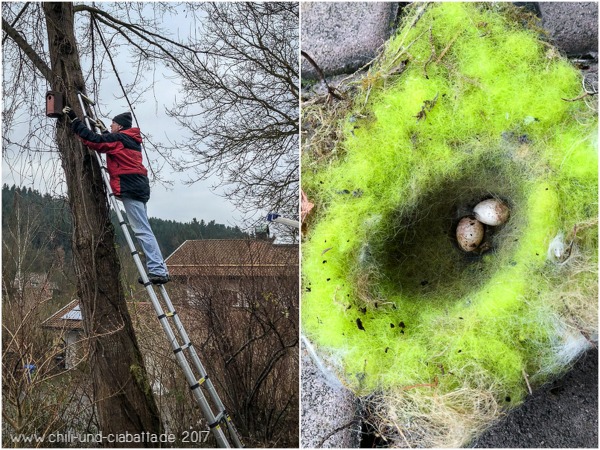 Vogelhäuschen reinigen